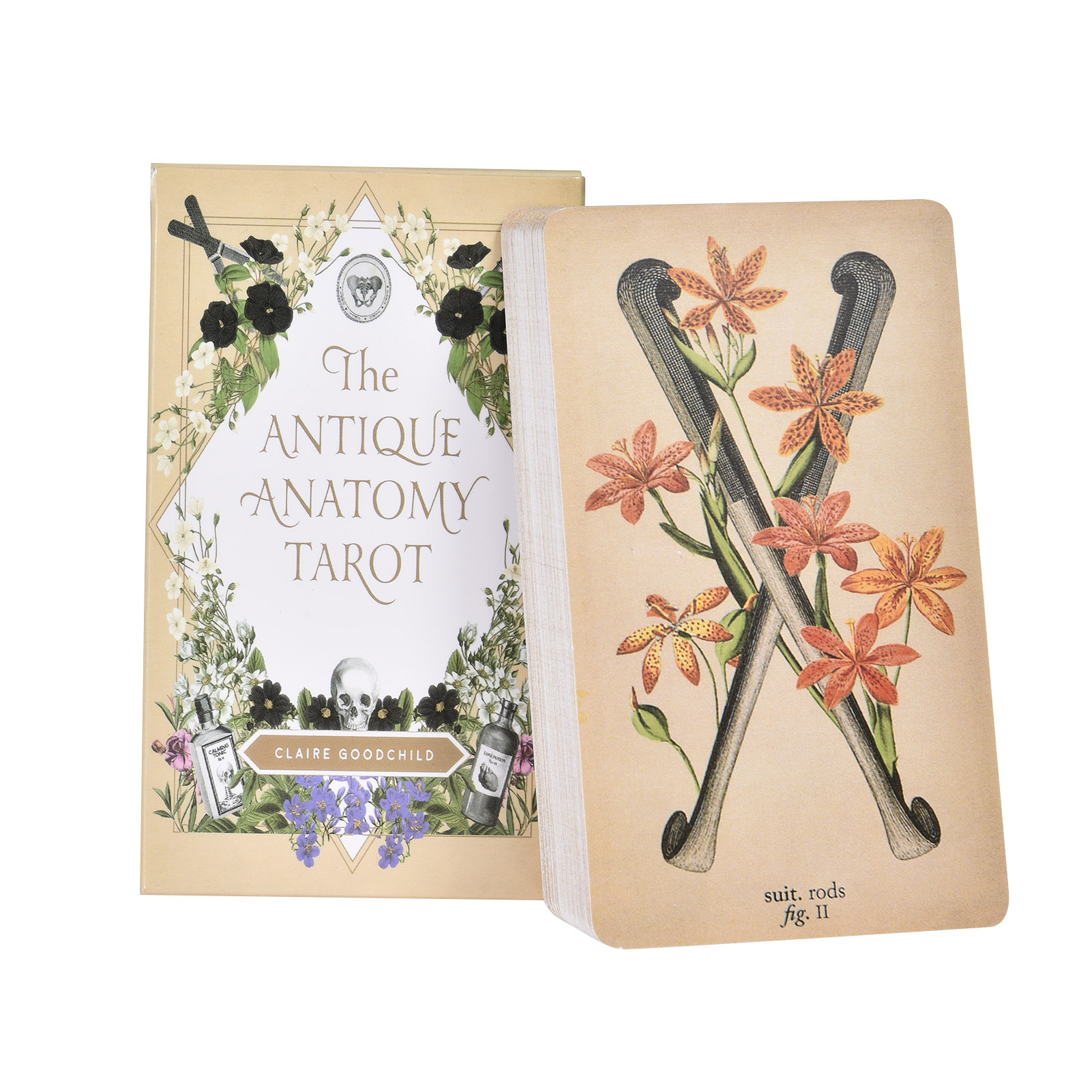Le Carte dei Tarocchi dell'Ana - Tarot Cards Deck With Guidebook recensione e prezzo
